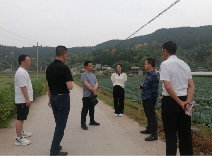 ������д�������������רҵ����У