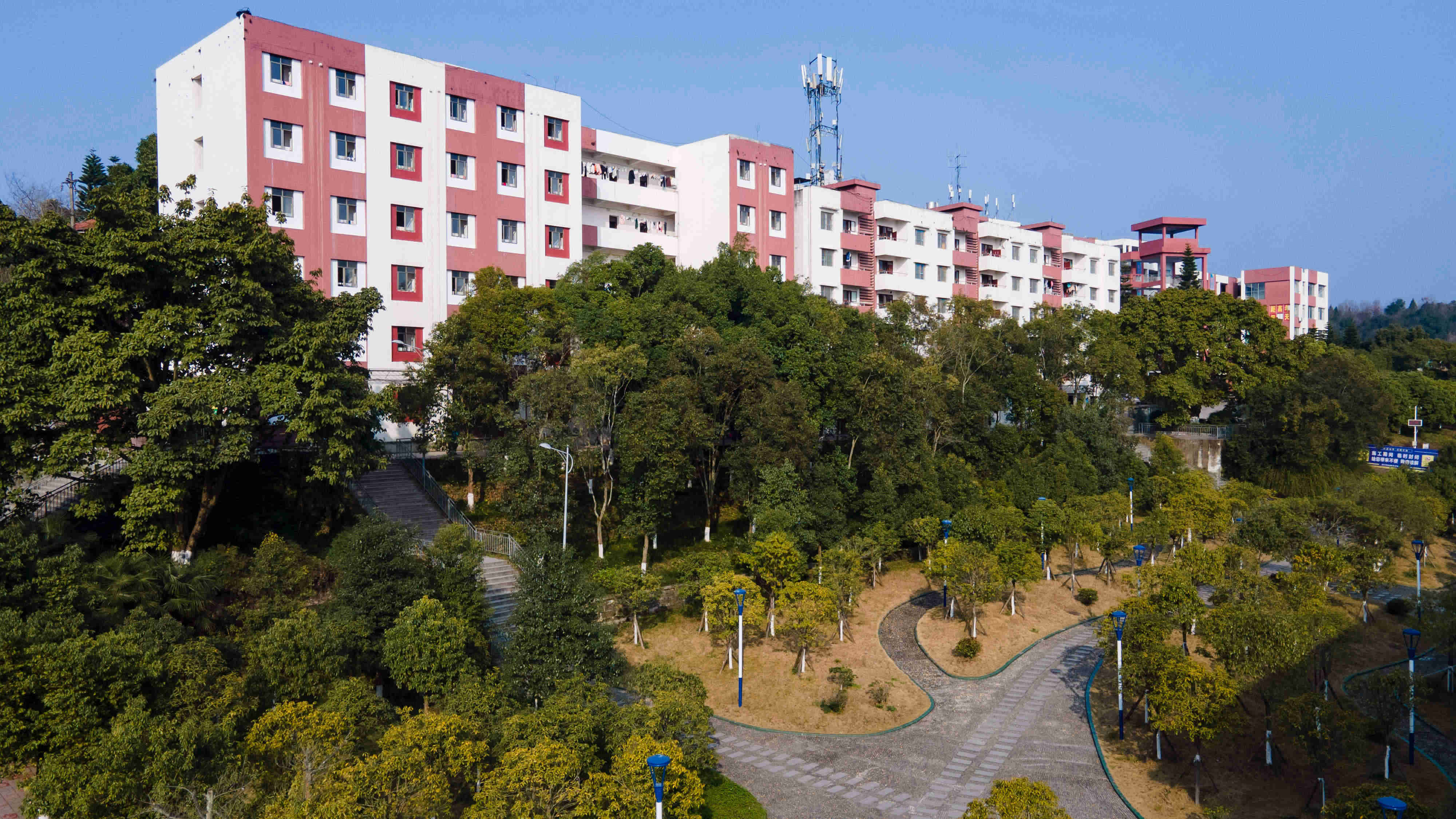 �й���BB��������ɭ(�ɷ�)���޹�˾-�ٷ���վ