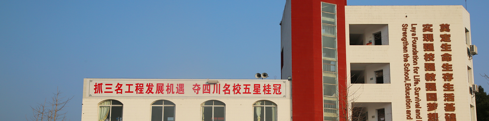 �й���BB��������ɭ(�ɷ�)���޹�˾-�ٷ���վ