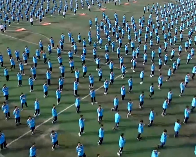 �й���BB��������ɭ(�ɷ�)���޹�˾-�ٷ���վ