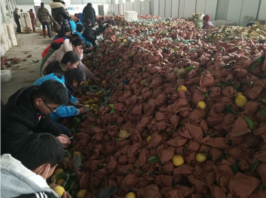 word_image_17045888665