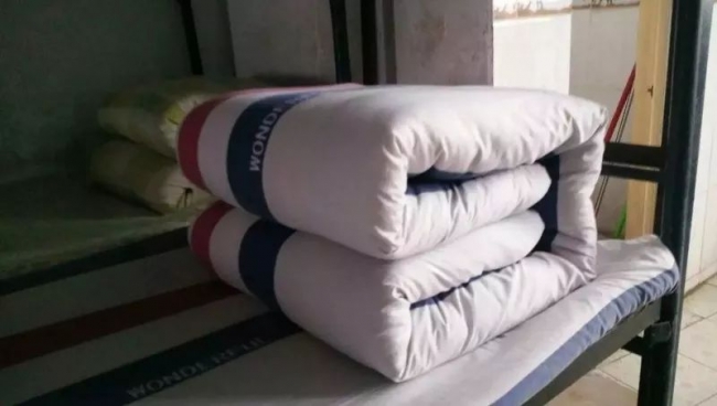 20220331213535655007_s