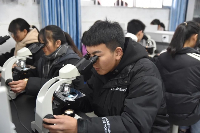 20220402101419831003_s